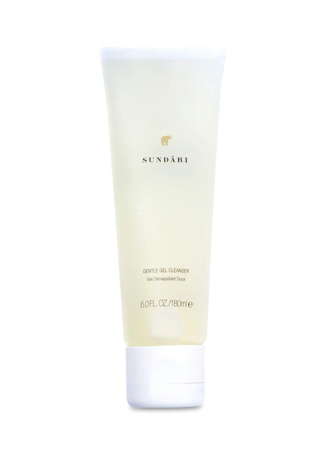 SUNDARI Gentle Gel Cleanser - Image 1